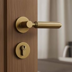 Brass Door Knobs