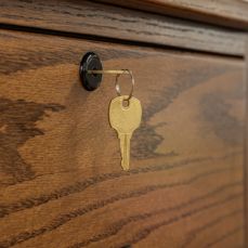 Furniture Locks