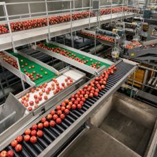 Food Processing Plants