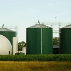 Bio-CNG Plants