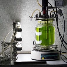 Bio Reactors