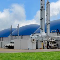 Biomass Plants