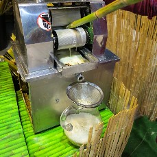 Cane Juice Extractor