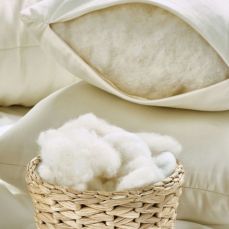 Cushion Fillings