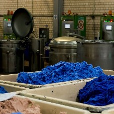 Dyeing Plants