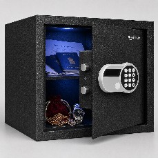 Electronic Safes & Security Systems