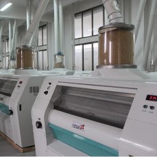 Flour Mill Plants