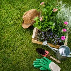 Garden Consultancy