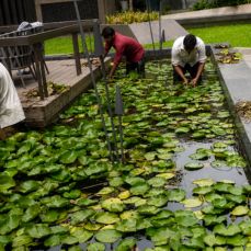 Garden Developers