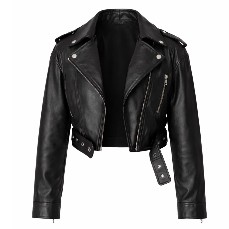 Motorcycle Jacket