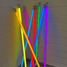 Neon Lamp
