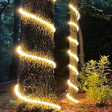 Outdoor Rope Light
