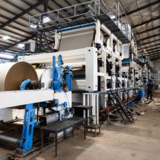 Paper & Pulp Plants