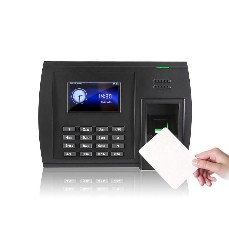 Punch Card