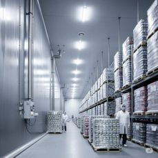 Refrigerated Warehouses