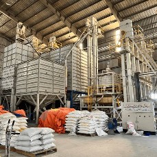 Rice Mill Plants