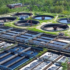 STP Plants