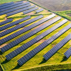 Solar Plants