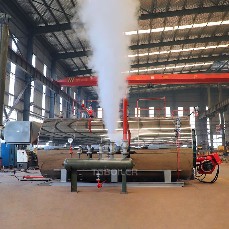 Steam Boilers