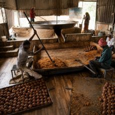 Sugar & Jaggery Plants