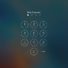 Telephone Locks