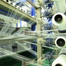 Textile Plants