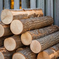 Timber Logs