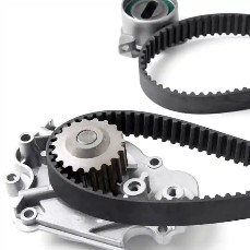 Timing Belts