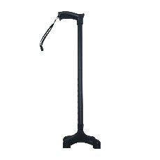 Walking Sticks