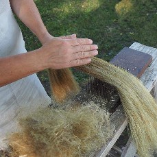 Yarn Spinning Plants